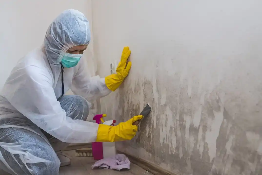 water damage restoration service Saddle Creek